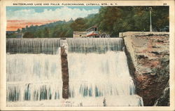 Switzerland Lake and Fallls Fleischmanns, NY Postcard Postcard Postcard