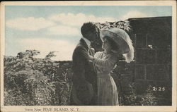 Scene Near Pine Island, N.Y. New York Postcard Postcard Postcard