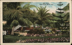 City Park West Palm Beach, FL Postcard Postcard Postcard