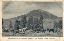 Haymaking in the Gunnison Country On Tomichi Creek Colorado Postcard Postcard Postcard