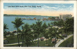 Lake Shore Drive North West Palm Beach, FL Postcard Postcard Postcard