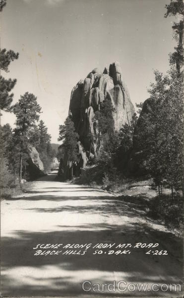 Scene Along Iron Mt. Road Black Hills South Dakota