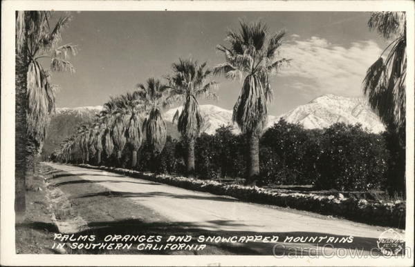 Palms, Oranges and Snowcapped Mountains Scenic California