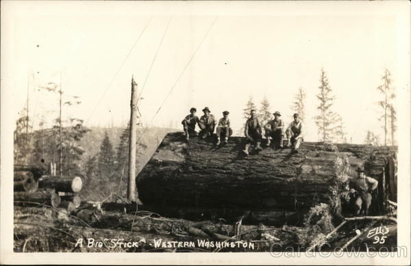 A Big Stick - Western Washington Logging