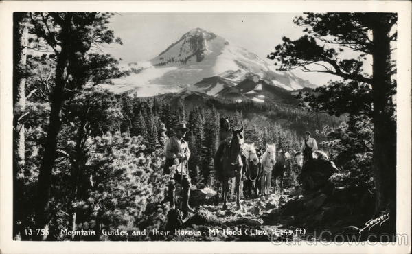 Mt. Hood - Mountain Guides and Horses Oregon
