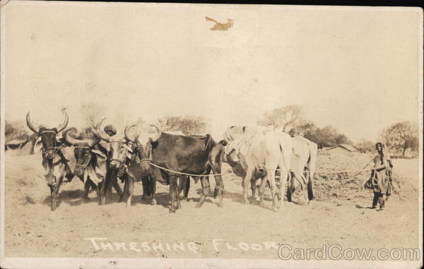 Threshing Floor India