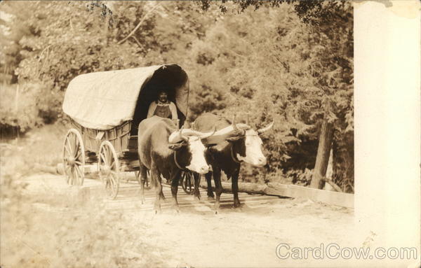 Ox Pulled Covered Wagon Horse-Drawn