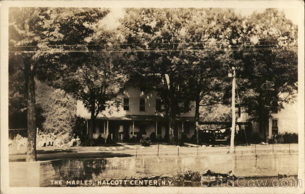 The Maples Halcott Center New York