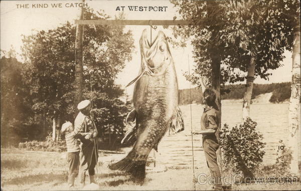 The Kind We Catch at Westport - People with Giant Fish ON Canada