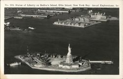 Statue of Liberty on Bedloe's Island, Ellis Island, New York Bay Postcard