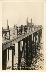 Fishing Pier Postcard