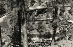 Double Spiral Bridge Along Iron Mountain Road Black Hills, SD Postcard Postcard Postcard