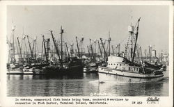 Fish Harbor Fish Harbor