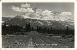 Mount Shasta California Postcard Postcard Postcard