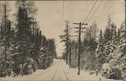 Railway Visible With Snow-Covered Pine Trees on Either Side Houghton, MI Postcard Postcard Postcard