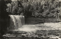 Tahquamenon Falls Postcard