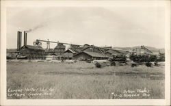 Lorane Valley Lumber Co. Cottage Grove, OR Postcard Postcard Postcard