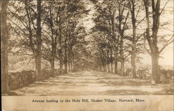 Avenue Leading to the Holy Hill, Shaker Village Harvard, MA Postcard Postcard Postcard