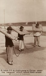 A Chain Gang in China - Wearing "Cangues" Which Record Their Crime Postcard