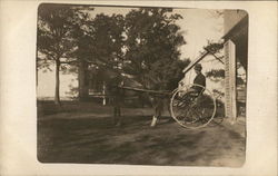 Man in Two-Wheeled Buggy Attached to Horse Horse-Drawn Postcard Postcard Postcard