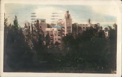 Light-Colored Buildings Visible Through Trees Postcard