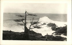 Surf at Lobster Cove Monhegan, ME Postcard Postcard Postcard