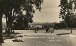 Greetings from Tanglewood Postcard