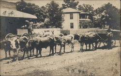 Hauling Melons Postcard