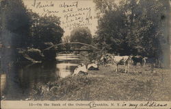 On the Bank of the Ouleout Franklin, NY Postcard Postcard 