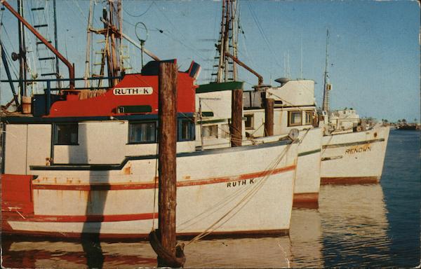 San Diego Yacht Harbor California