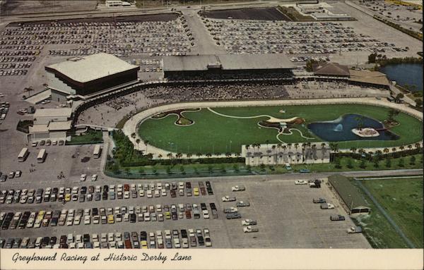 Derby Lane Greyhound Races St. Petersburg Florida