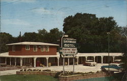 Sherwood Motel Postcard