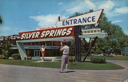 Florida's Silver Springs Postcard