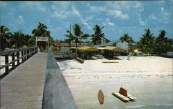 Snow White Sands and Tropical Palms Postcard