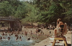 Swimming at World's End State Park, Pa. Forksville, PA Postcard Postcard Postcard