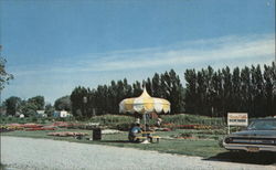 Henry Field Seed 7 Nursery Co. Show Garden Postcard