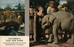 Children's Zoo and Farm, Chicago Zoological Park Postcard