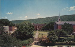 Albright College Campus Postcard