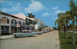 Tropical palm-lined avenue in business section, Venice, Florida, on the Gulf of Mexico. Postcard Postcard Postcard