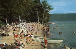 Roger's Rock State Park Beach Hague, NY Postcard Postcard Postcard