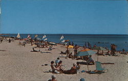 Hardings Beach Cape Cod, MA Postcard Postcard Postcard