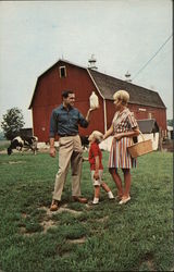 Dairylea - Direct From Our Farms To You Postcard