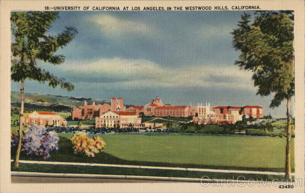 University of California at Los Angeles Westwood