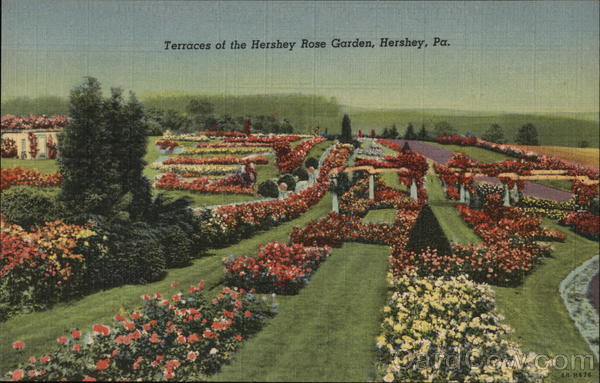 Terraces of the Hershey Rose Garden Pennsylvania