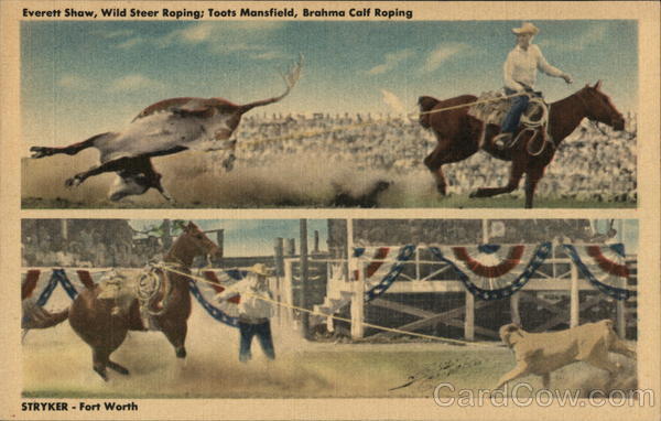Everett Shaw - Wild Steer Roping ; Toots Mansfield - Brahma Calf Roping