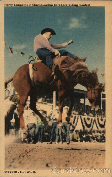 Harry Tompkins in Championship Bareback Riding Contest Fort Worth Texas