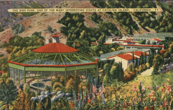 Bird Park, One of the Area's Many Interesting Sights Santa Catalina Island California