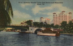 Strikingly Beautiful Dallas Park Section from Miami River Postcard