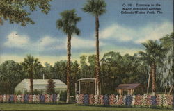 Mead Botanical Garden Winter Park, FL Postcard Postcard Postcard