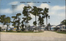 Apopka Court - U. S. 441 Florida Postcard Postcard Postcard